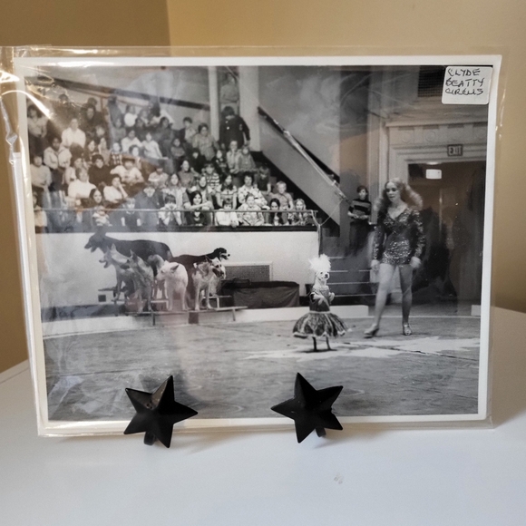 Vintage Black and White Photograph Clyde Beatty Circus 1973 Canine Circus Act - Picture 9 of 16